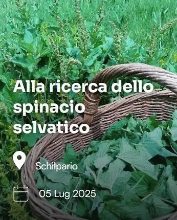 Dolomyte * Schilpario
